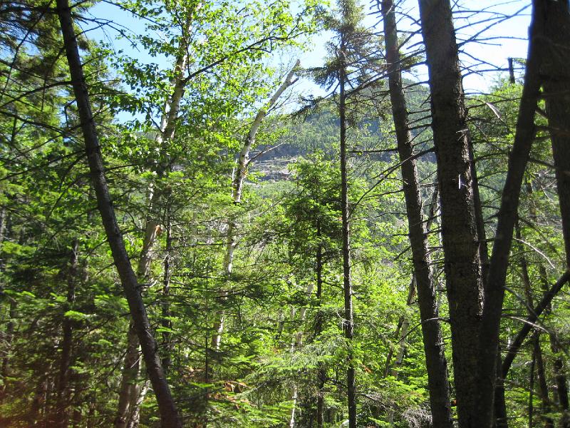 PemiTraverse (5).JPG - Inside Carrigan Notch we caught glimpses of Mt. Lowell and Vose Spur.
